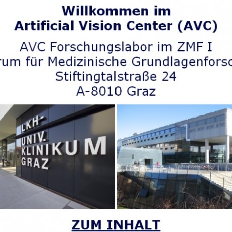 AVC-Europe